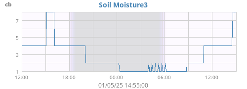 daymoistsoil