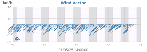 Wind Vector